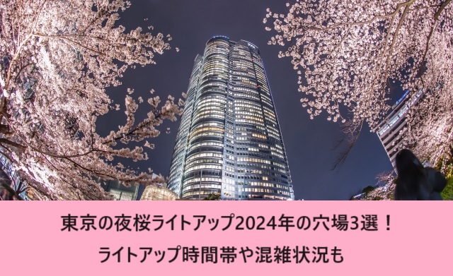 東京の夜桜ライトアップ2024年の穴場3選！ライトアップ時間帯や混雑状況も